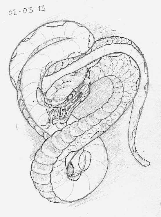 555x750 Tattoo Sketch A Day Snakes March 1st