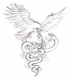 236x262 Bird Skull Illustration