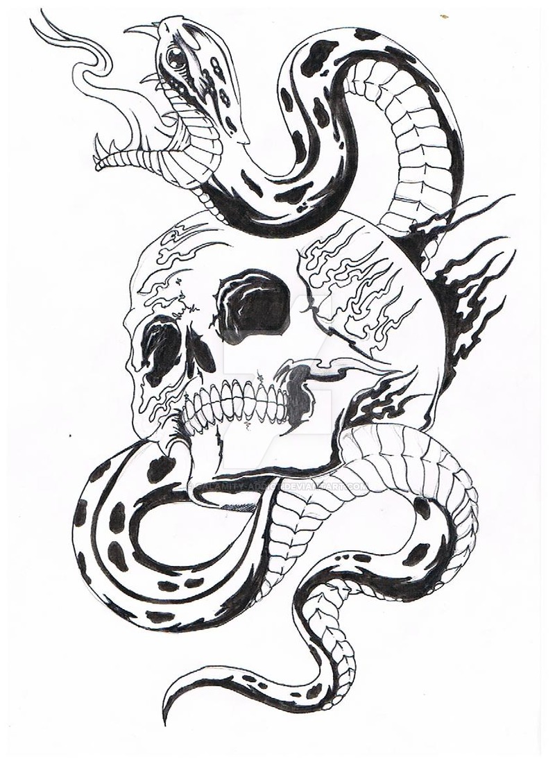 Skull Snake Drawing at GetDrawings | Free download