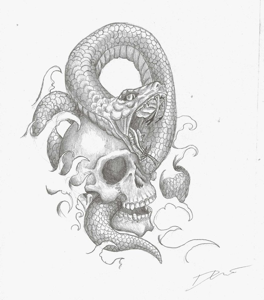 Skull Snake Drawing at GetDrawings | Free download