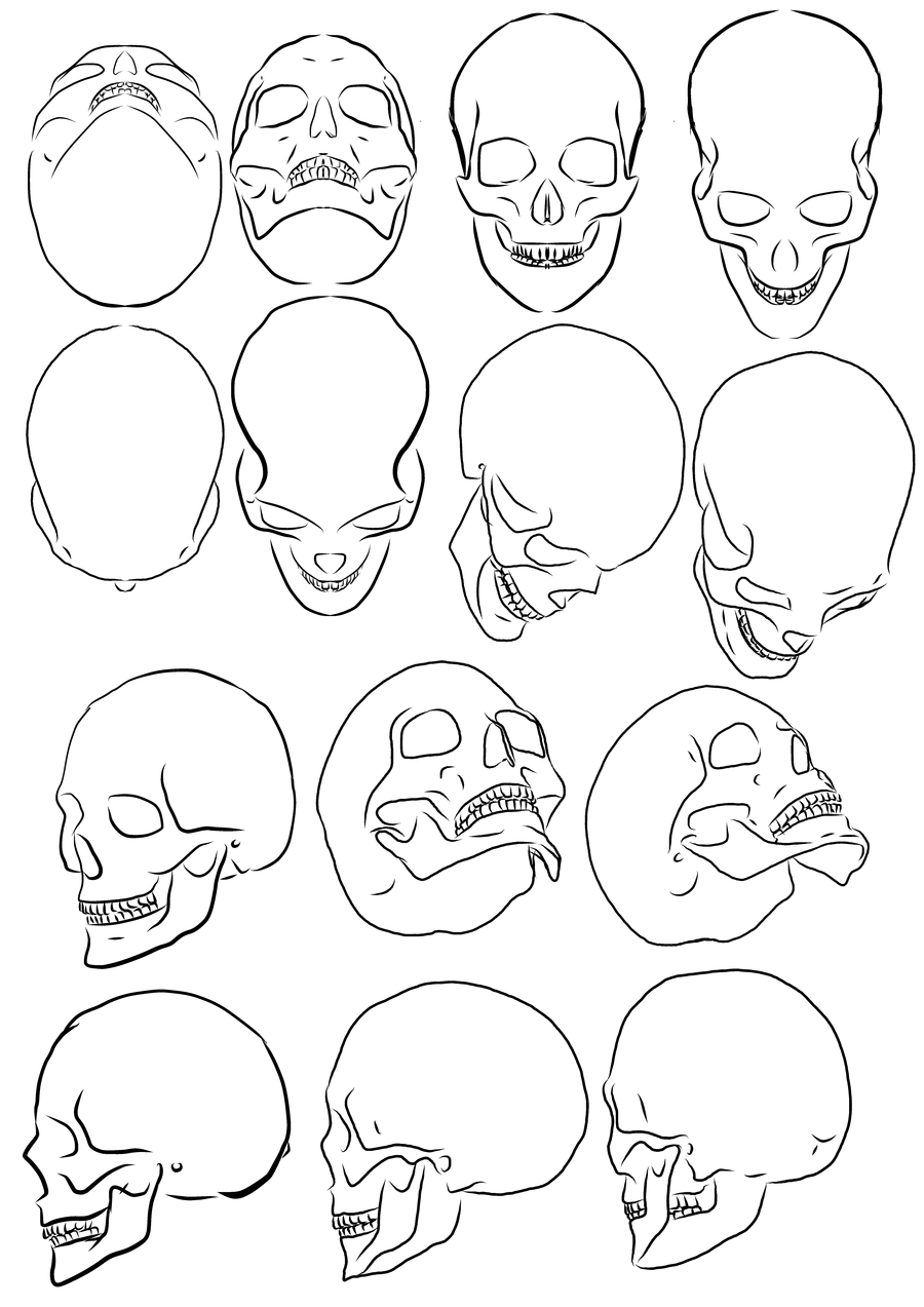 900x1273 Human Skull Drawing Tutorial