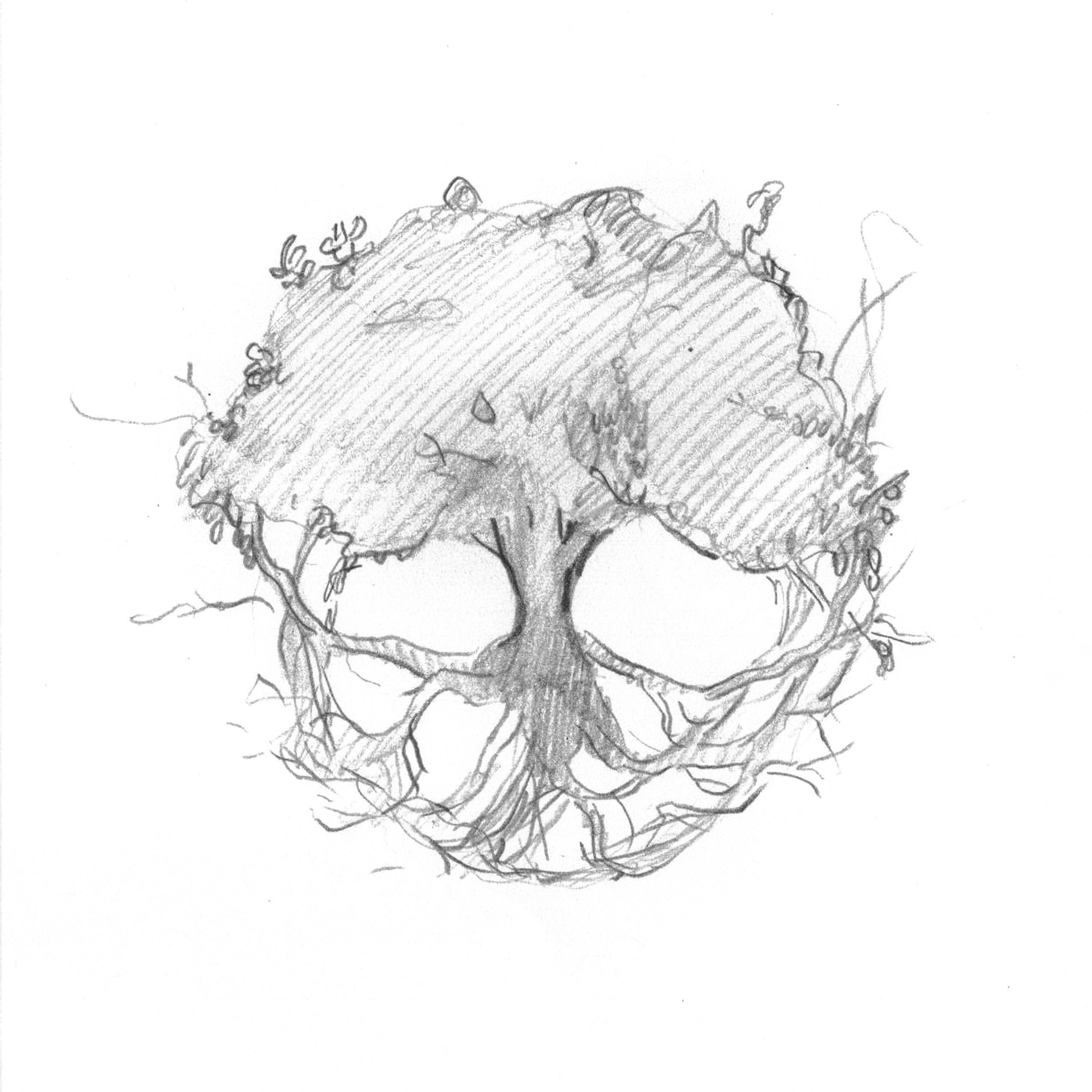 2550x2550 Contact Us Groundwork!