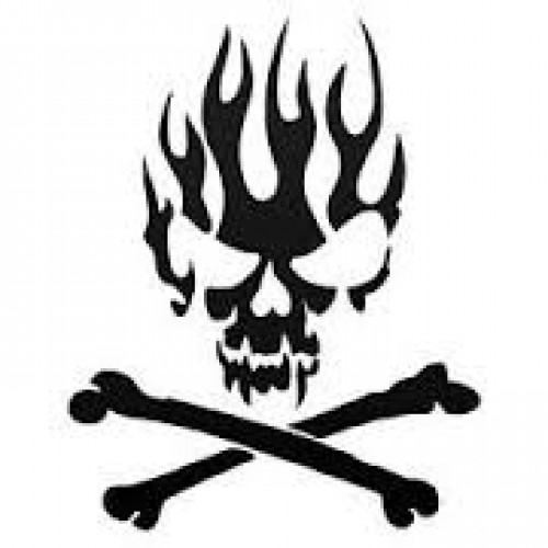500x500 Flaming Skull Decal