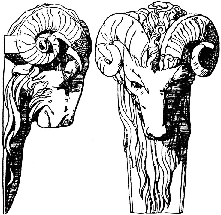 736x715 Image Result For Draw Horns In Profile How To Art