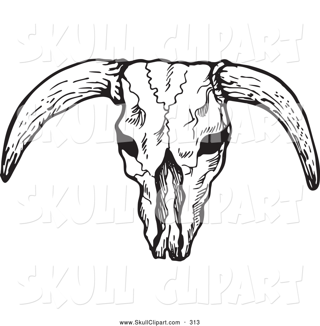 1024x1044 Vector Clip Art Of A Black And White Bleached Bull Skull