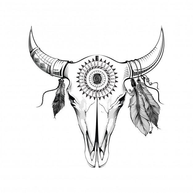 626x626 Bull Skull Vectors, Photos And Psd Files Free Download