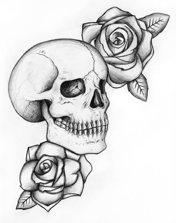 600x759 Skull And Roses Sketch By Liquid Venom