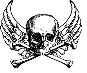 298x251 Skull And Wings By Beep41