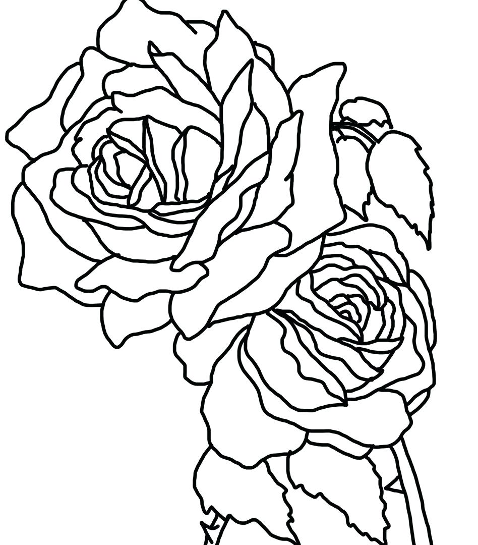 Skulls And Roses Drawing at GetDrawings | Free download