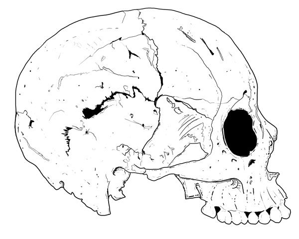 600x480 Hand Drawn Skulls Pack 11 Free Psd Media Militia