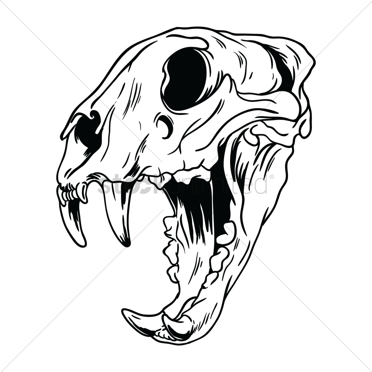 1300x1300 Free Tiger Skull Vector Image