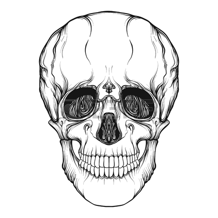 450x450 Human Skull Realistic Hand Drawing Isolated Royalty Free Cliparts