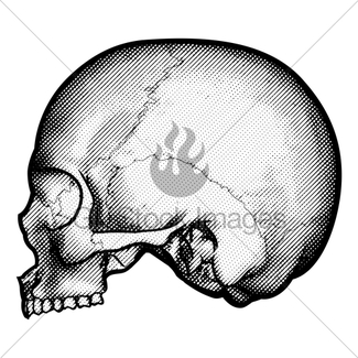 325x325 Skull Retro Style Drawing Gl Stock Images