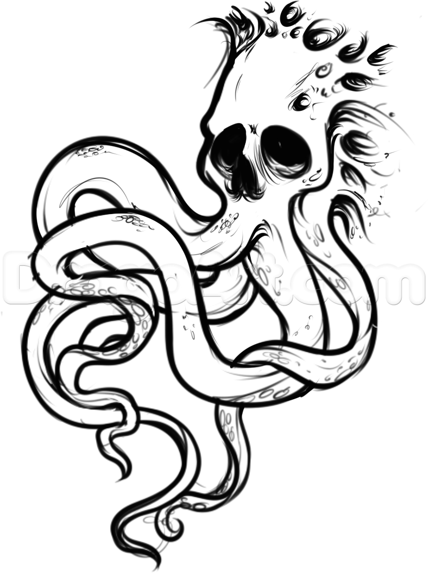 843x1127 Drawing Of A Octopus How To Draw An Octopus Skull Tattoo, Stepstep