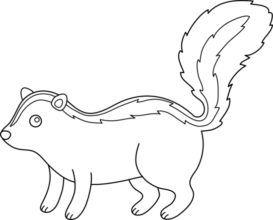 550x444 Cute Skunk Line Art