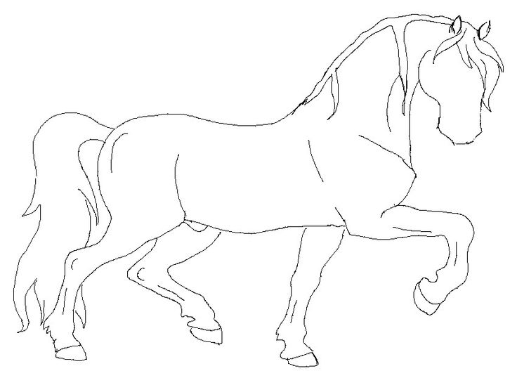 736x538 The Best Horse Outline Ideas On Horse Stencil