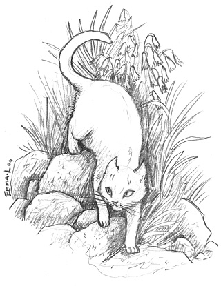 320x415 Cat In Garden Line Drawing