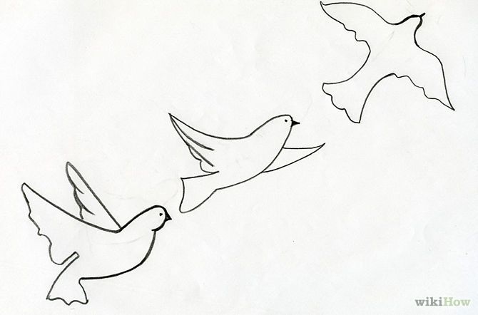 670x442 Pictures Sketches Of Birds Flying,