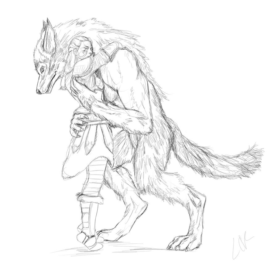887x900 Skyrim Sketches 2 Wolf Hug By Lucife56