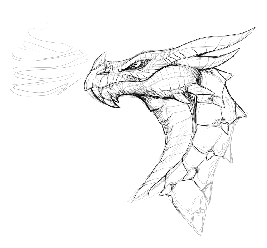 917x851 Skyrim Dragon Doodle By Windveil