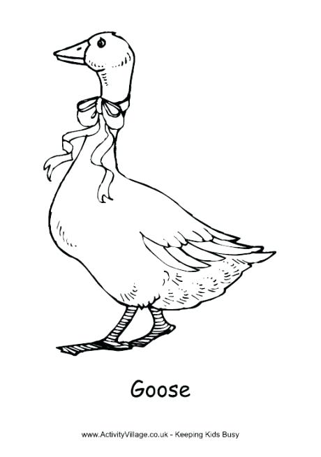 460x655 Best Goose Coloring Page Kids Pages Awesome Drawing Goosebumps