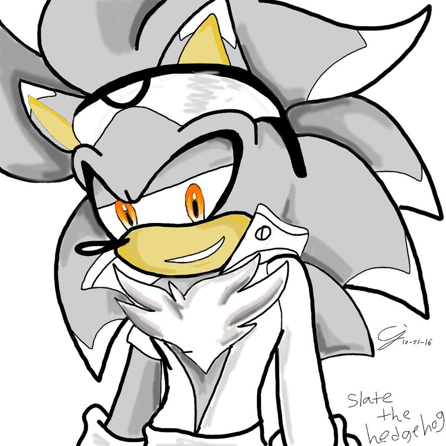 894x894 Slate The Hedgehog By Guardian Cynthia22