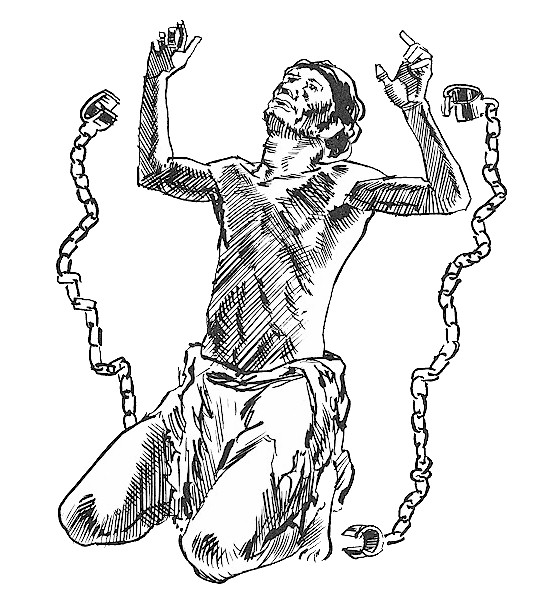 534x610 Free Wonderings Of Asacredrebel