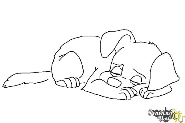 600x400 How To Draw A Sleeping Dog