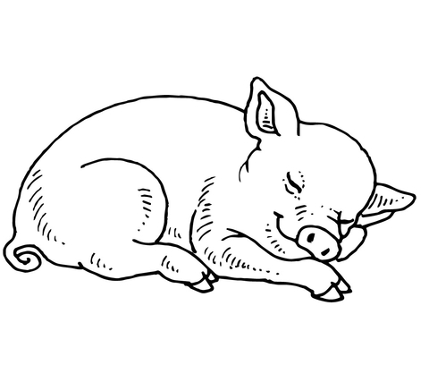 480x408 Sleeping Baby Pig Coloring Page Free Printable Coloring Pages