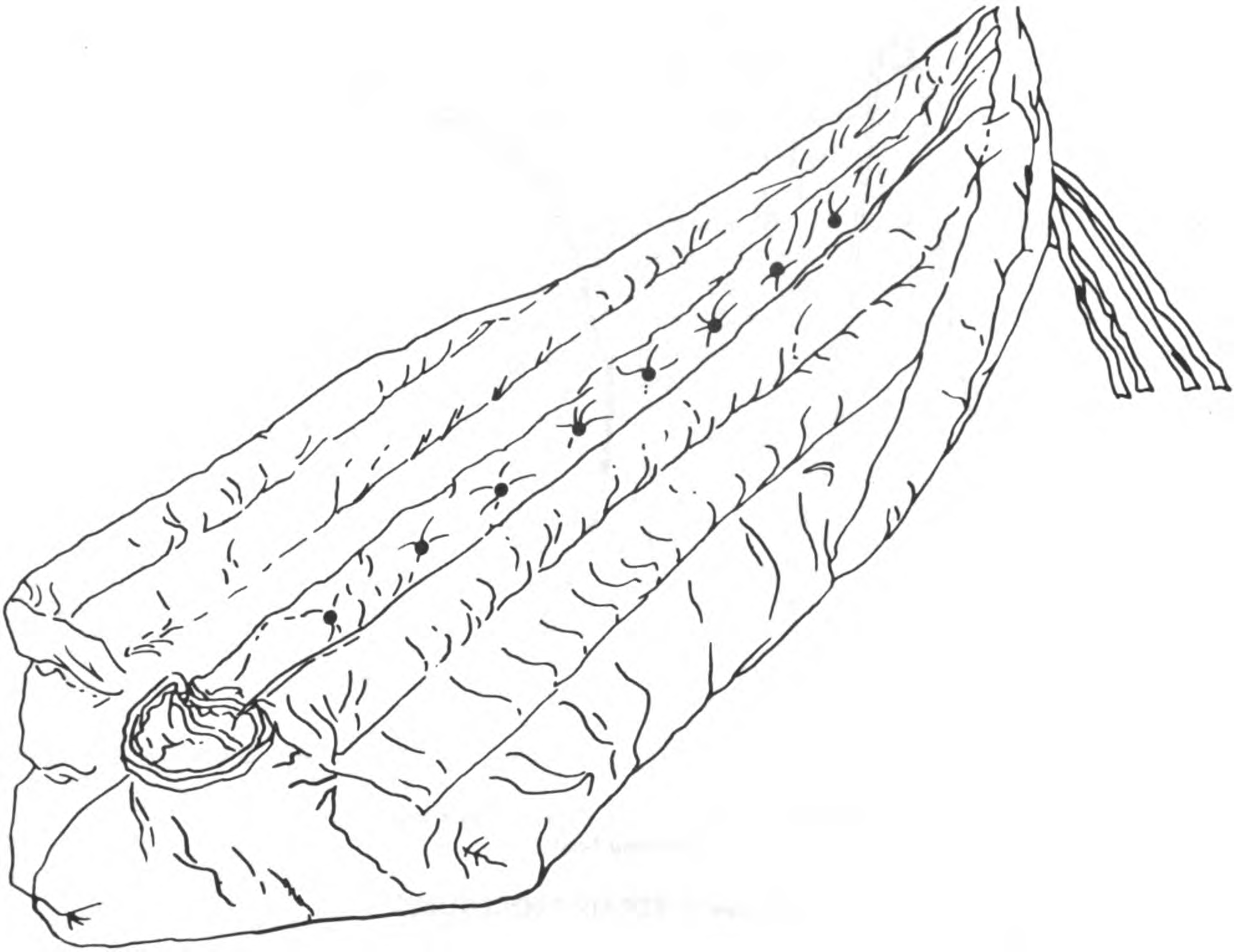 1984x1532 Extreme Cold Weather Sleeping Bag