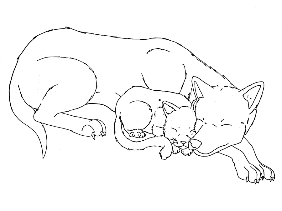 900x675 Cat And Dog Sleeping Base By Midnightflaze