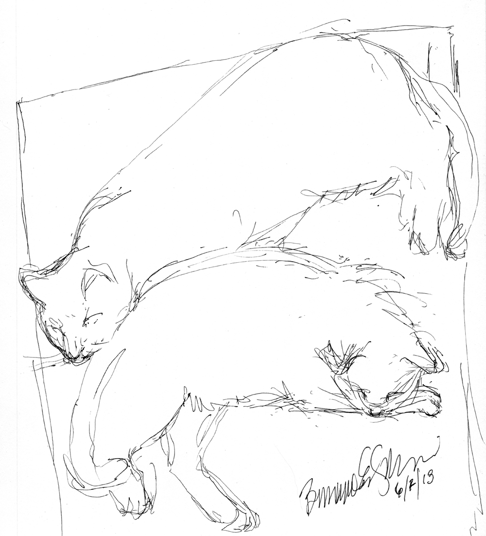 1000x1102 Daily Sketch Easy Like Sunday, The Sketch ~ The Creative Cat
