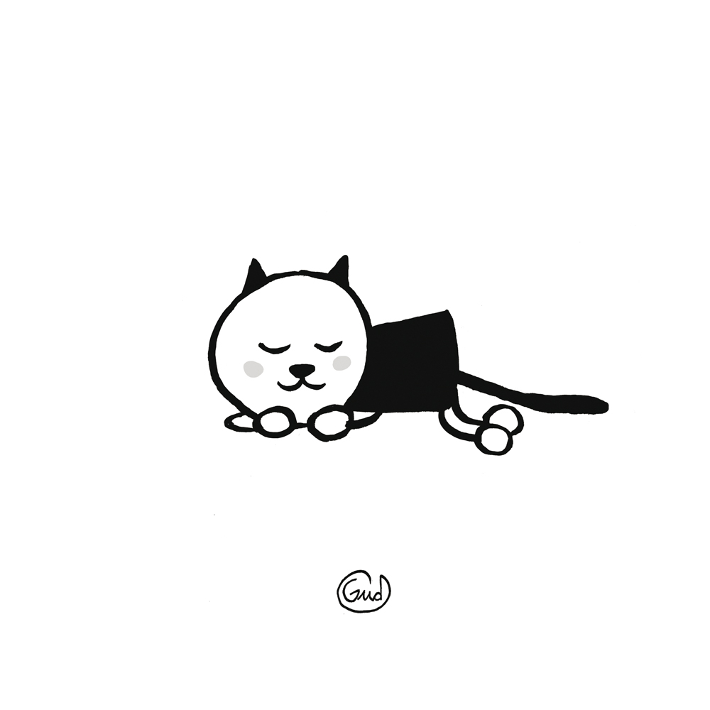 1000x1000 Sleeping Cat!