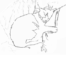 225x199 Sleeping Tuxedo Cat First Steps Of The Drawing