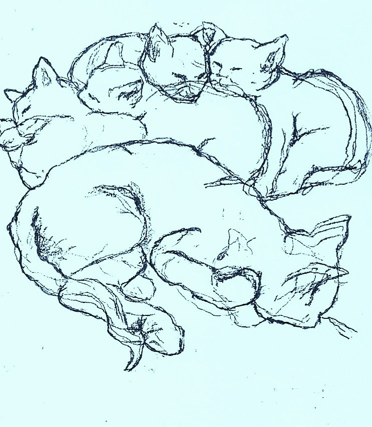 743x853 Cat Art Print Of My Original Drawing, Sleeping Cats,cat Art,cat