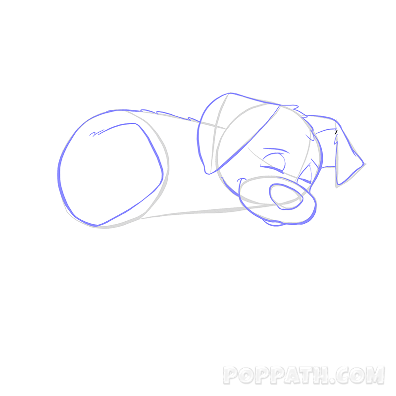 800x800 How To Draw A Sleeping Dog Pop Path