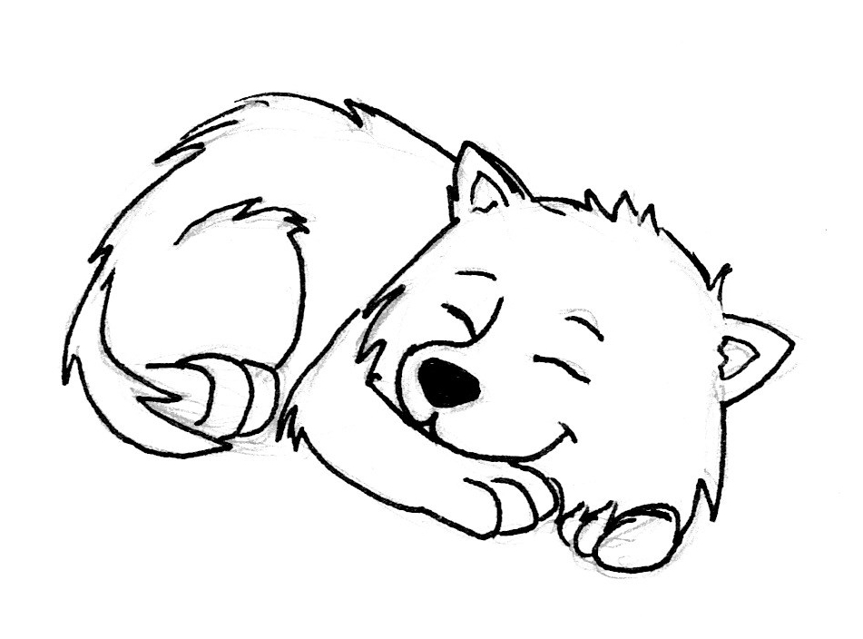 951x704 Sleeping Annoying Dog By Zeragii