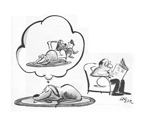 300x248 Sleeping Dog Drawings Fine Art America