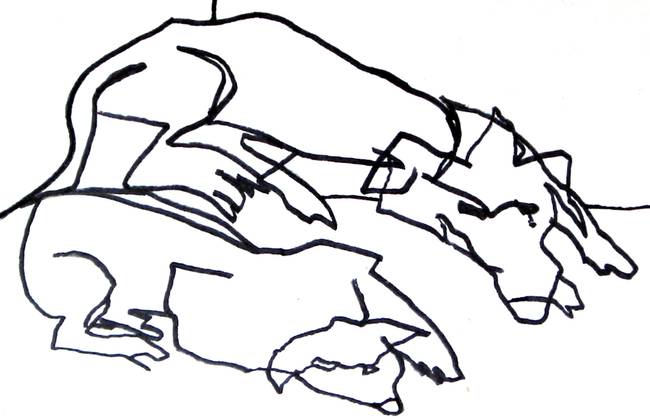 650x419 Stunning Sleeping Dog Drawings And Illustrations For Sale