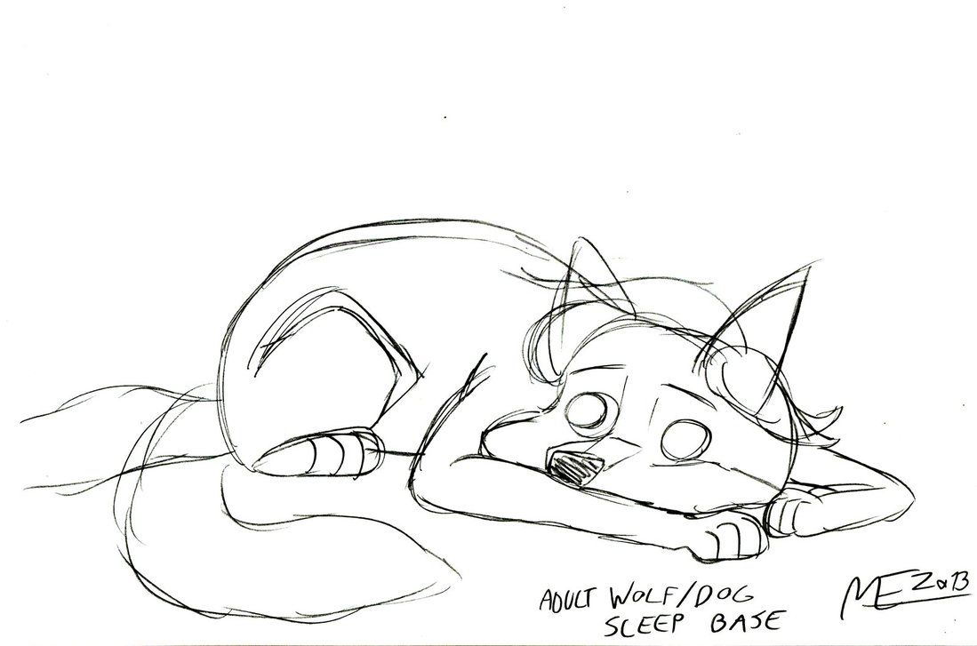 1099x727 Wolfdog Adult Sleeping Base Sketch By Morteneng21