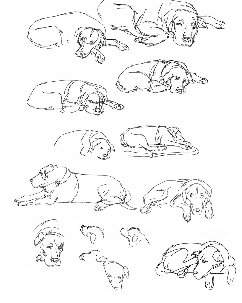 819x1024 Your Old Men Will Dream Dreams. Your Young Men Will See Visions