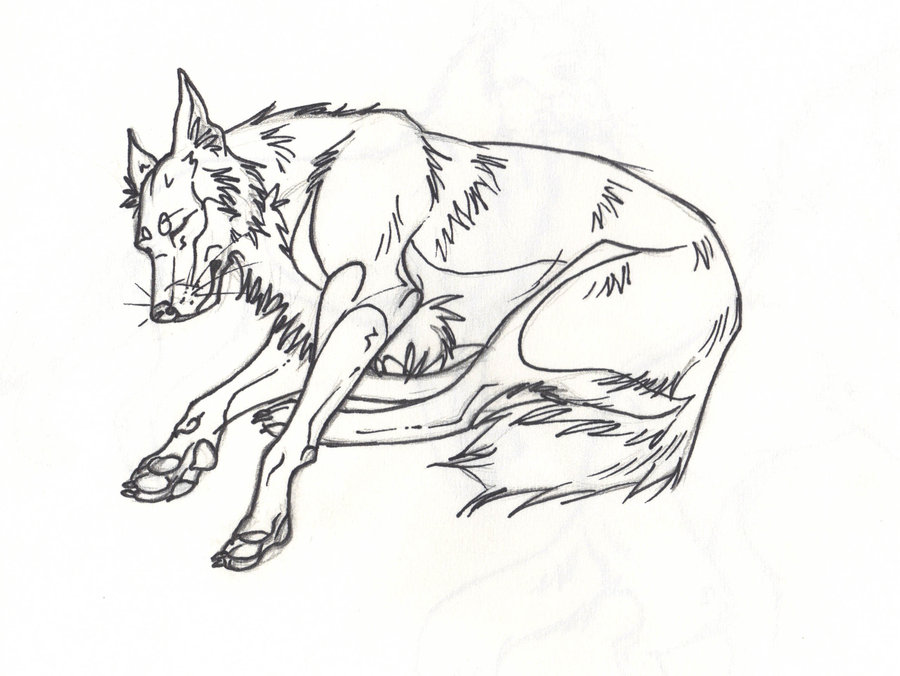900x676 Sleeping Dog Lineart By Ottoto