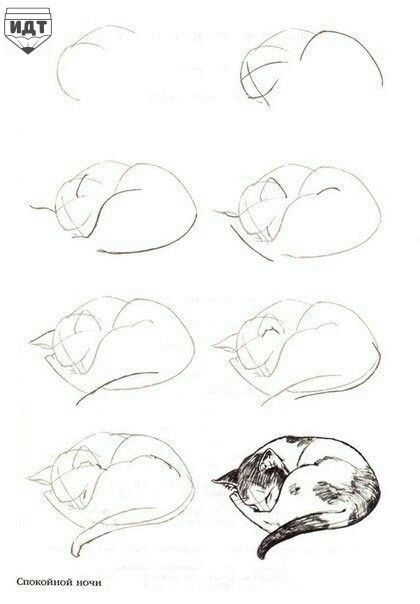 420x604 Pin By N Apelsina On Drawings, Sketches And Cat
