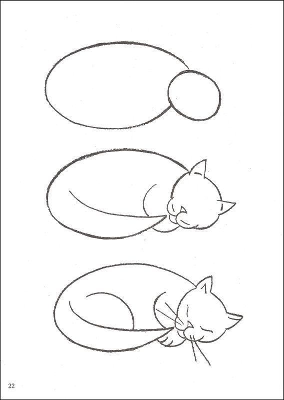 569x800 Sleeping Cat Drawing Simple