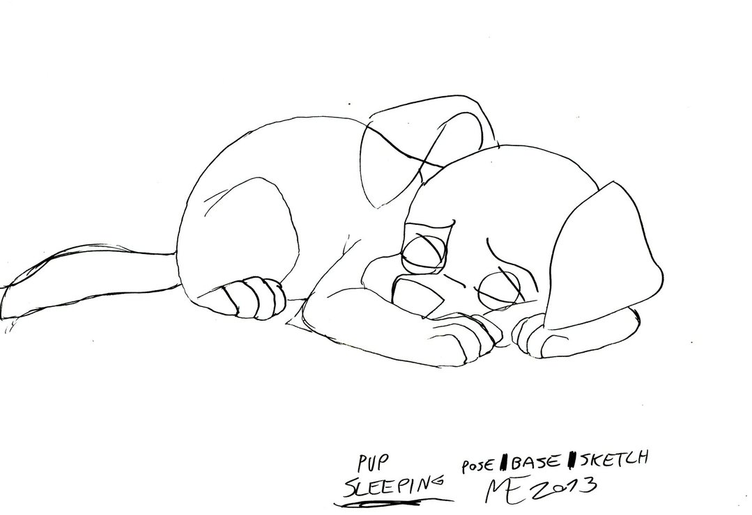 1079x740 Wolfdog Pup Sleeping Base Sketch By Morteneng21