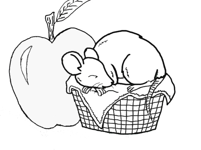 640x480 Little Sleeping Mouse By Tygrisica