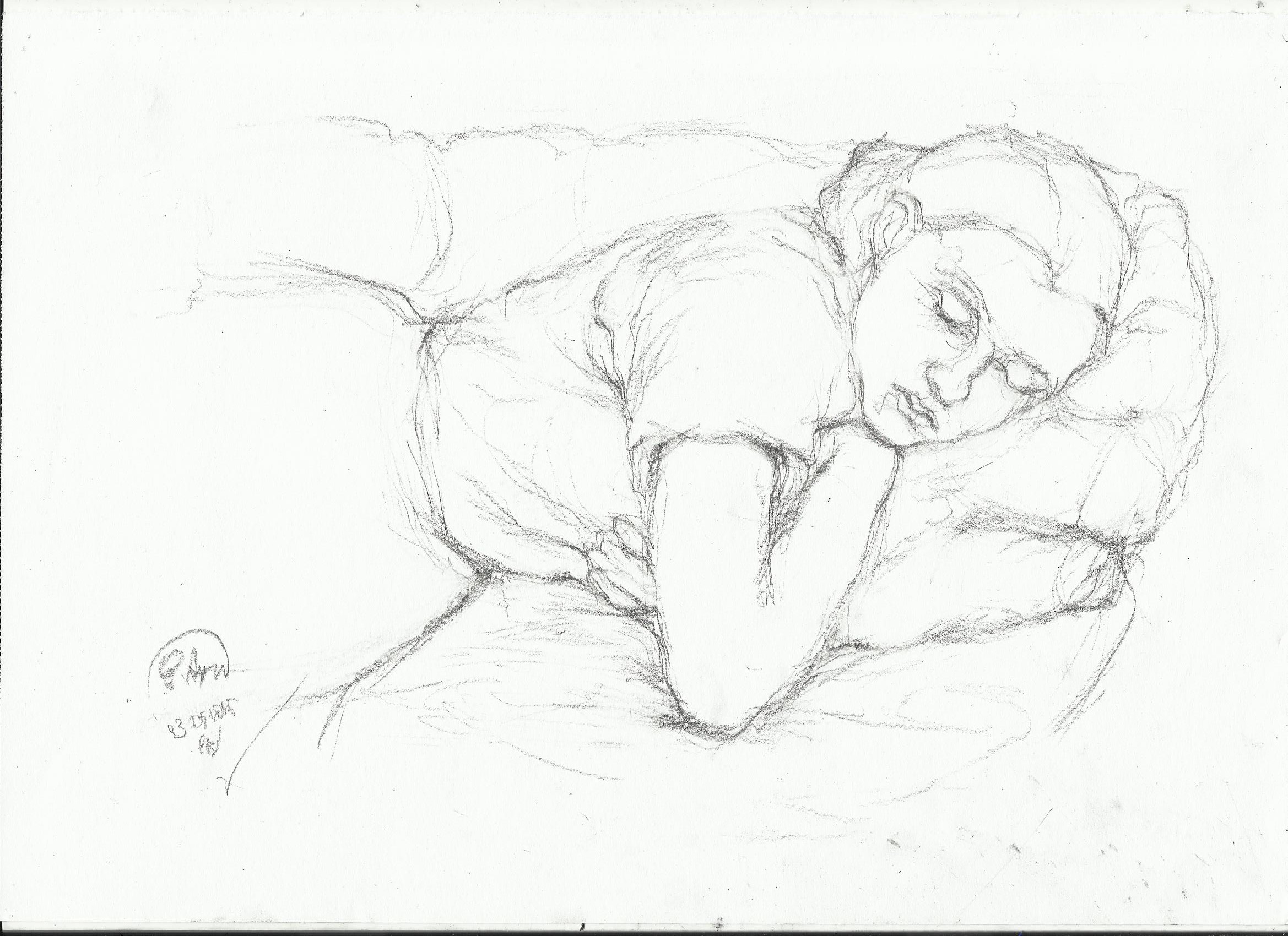 2338x1700 Sleeping Woman Drawing Nightwithdeer