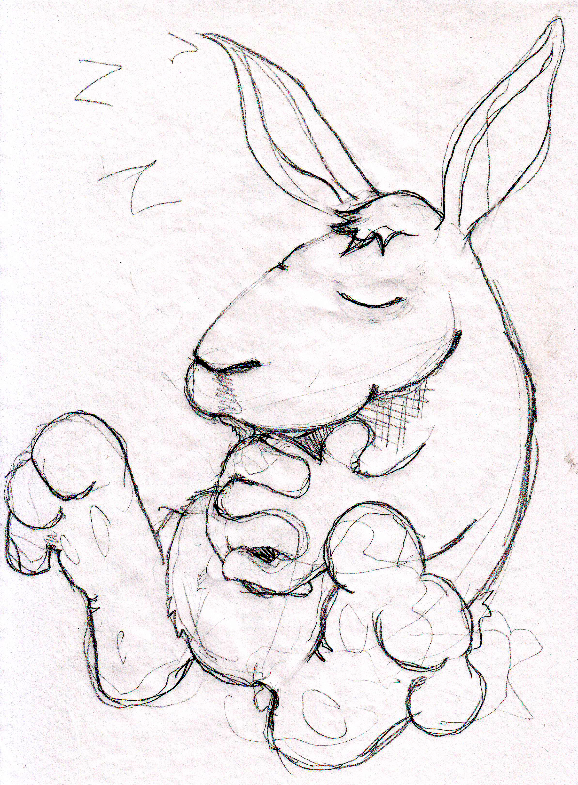 2386x3237 Do Sleeping Rabbits Dream Of Recursiveworlds