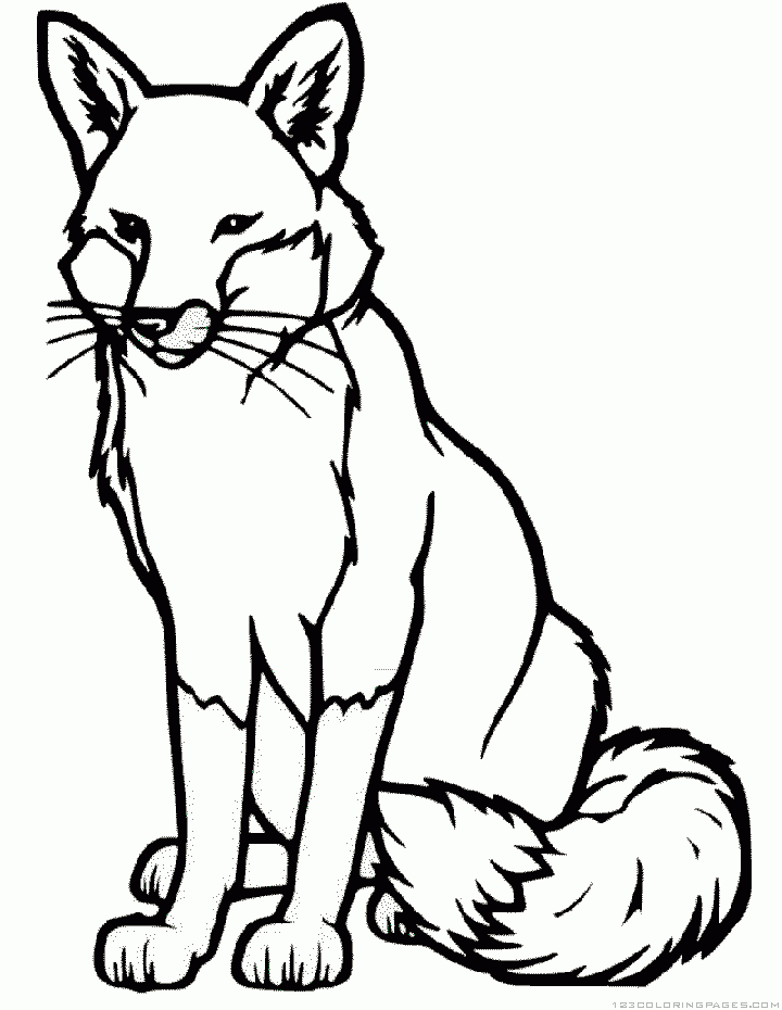 720x930 Fox Coloring Pages Embroidery Foxes, Embroidery