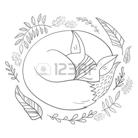 450x450 Sleeping Fox Art